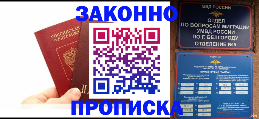 временная регистрация для школы в Заполярном